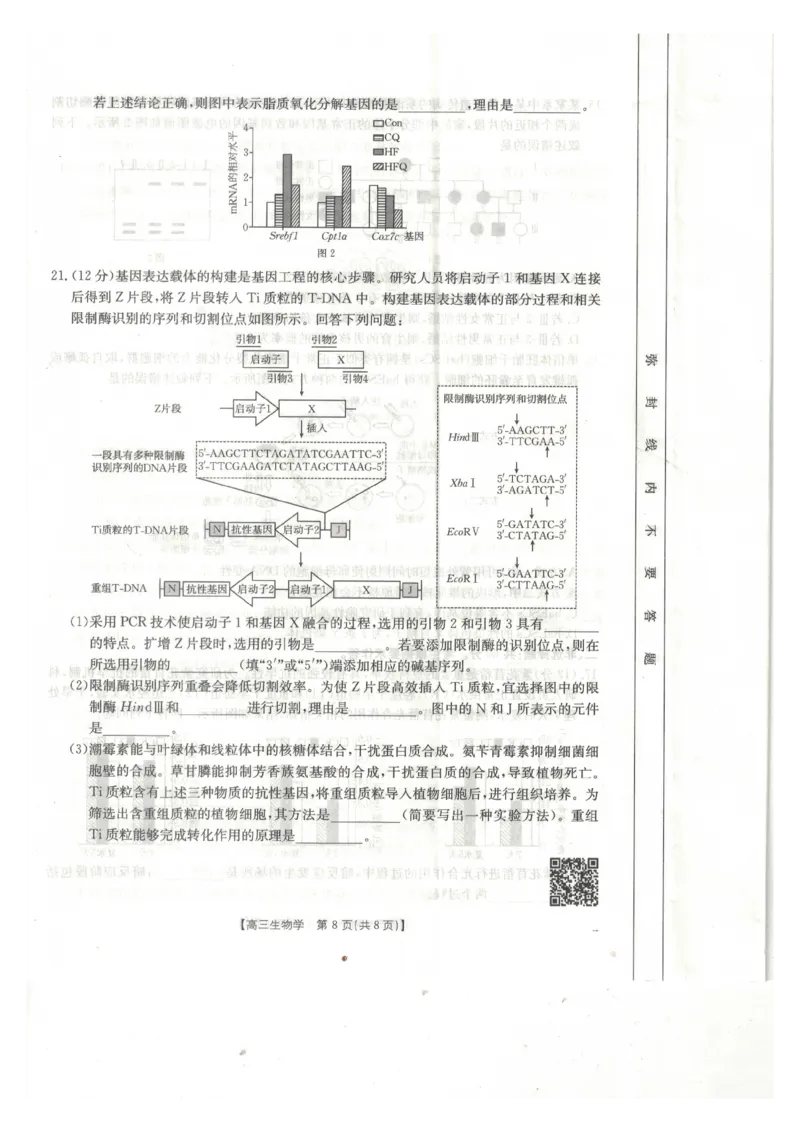 生物_2024-2025高三（6-6月题库）_2025年02月试卷_0217广西省桂林市2025届高三春季开学质量检测（金太阳334C）_广西桂林市2024-2025学年高三下学期开学质量检测生物