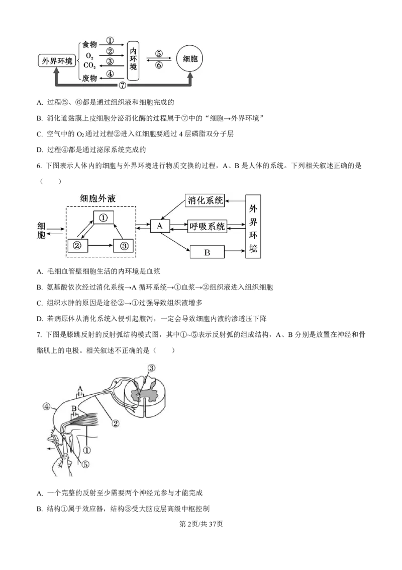 生物-河北衡水中学2024-2025学年高二上学期综合素质评价_2024-2025高二（7-7月题库）_2024年11月试卷_1120河北衡水中学2024-2025学年高二上学期综合素质评价