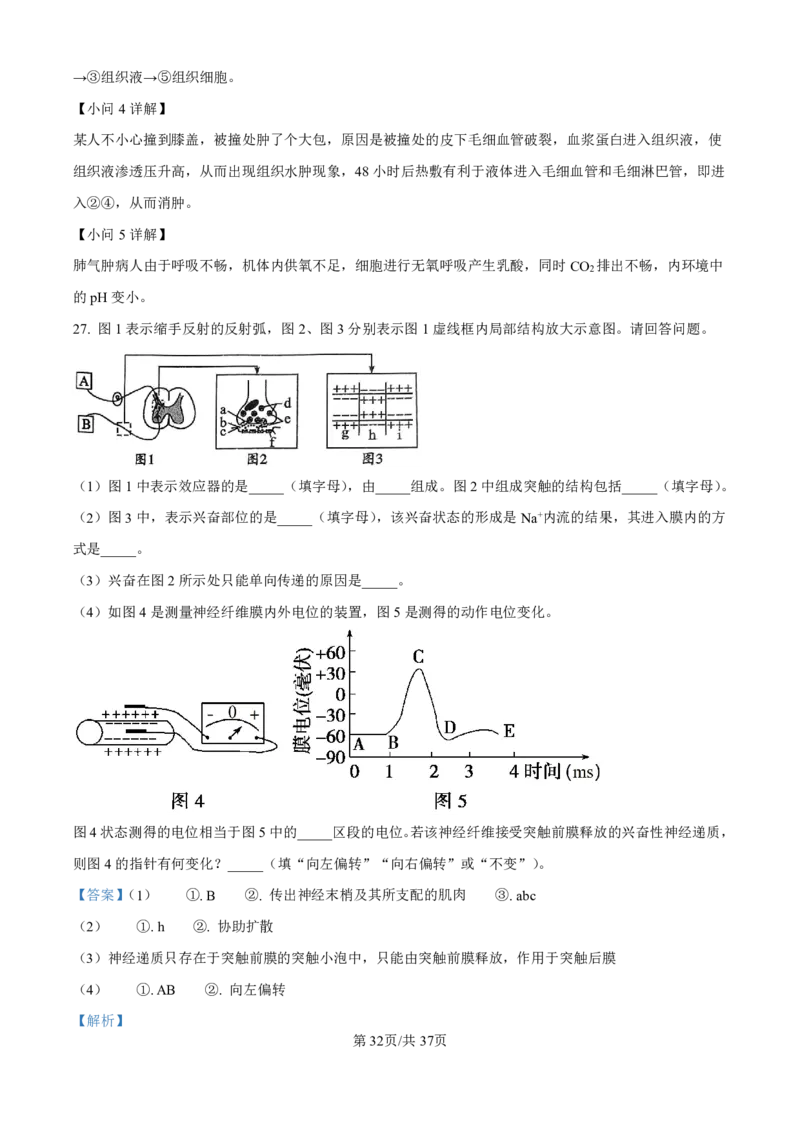 生物-河北衡水中学2024-2025学年高二上学期综合素质评价_2024-2025高二（7-7月题库）_2024年11月试卷_1120河北衡水中学2024-2025学年高二上学期综合素质评价