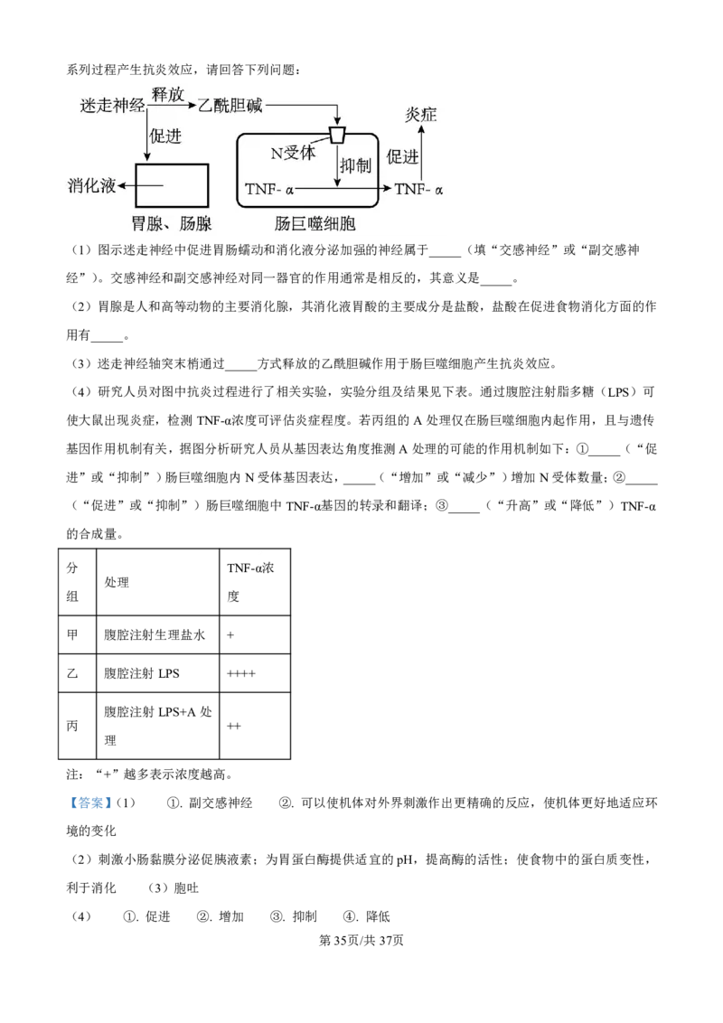 生物-河北衡水中学2024-2025学年高二上学期综合素质评价_2024-2025高二（7-7月题库）_2024年11月试卷_1120河北衡水中学2024-2025学年高二上学期综合素质评价
