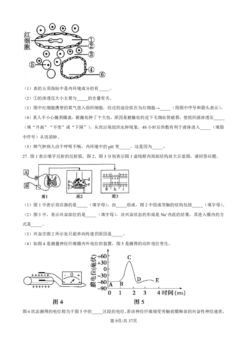 生物-河北衡水中学2024-2025学年高二上学期综合素质评价_2024-2025高二（7-7月题库）_2024年11月试卷_1120河北衡水中学2024-2025学年高二上学期综合素质评价