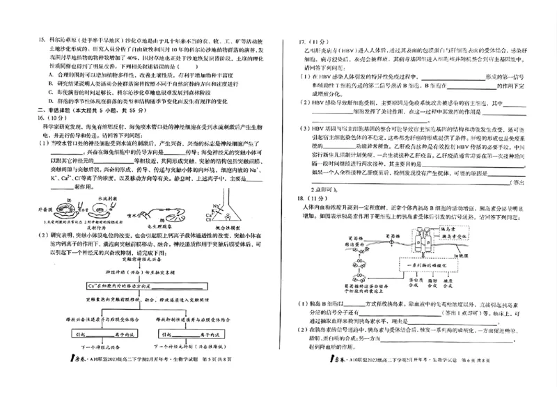 生物-安徽2025A10联盟高二下学期开学考_2024-2025高二（7-7月题库）_2025年02月试卷_0215安徽2025A10联盟高二下学期开学考