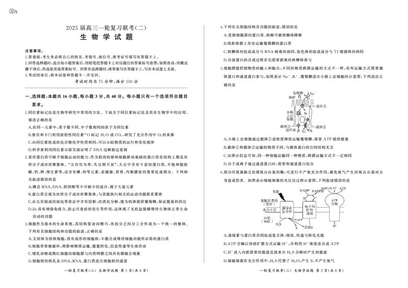 百师联盟2025届高三一轮复习联考（二）生物_2024-2025高三（6-6月题库）_2024年11月试卷_1106百师联盟2025届高三一轮复习联考（二）（云贵川）
