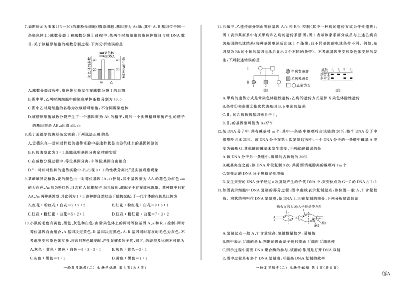 百师联盟2025届高三一轮复习联考（二）生物_2024-2025高三（6-6月题库）_2024年11月试卷_1106百师联盟2025届高三一轮复习联考（二）（云贵川）