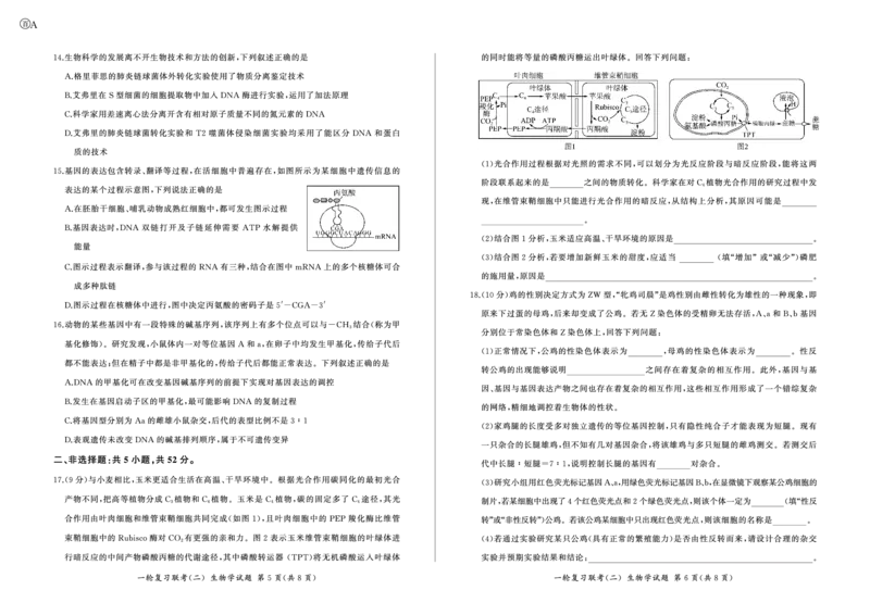 百师联盟2025届高三一轮复习联考（二）生物_2024-2025高三（6-6月题库）_2024年11月试卷_1106百师联盟2025届高三一轮复习联考（二）（云贵川）