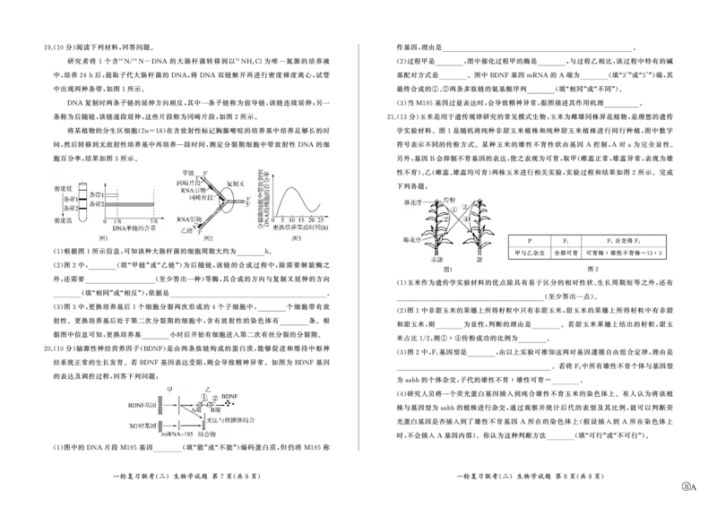 百师联盟2025届高三一轮复习联考（二）生物_2024-2025高三（6-6月题库）_2024年11月试卷_1106百师联盟2025届高三一轮复习联考（二）（云贵川）
