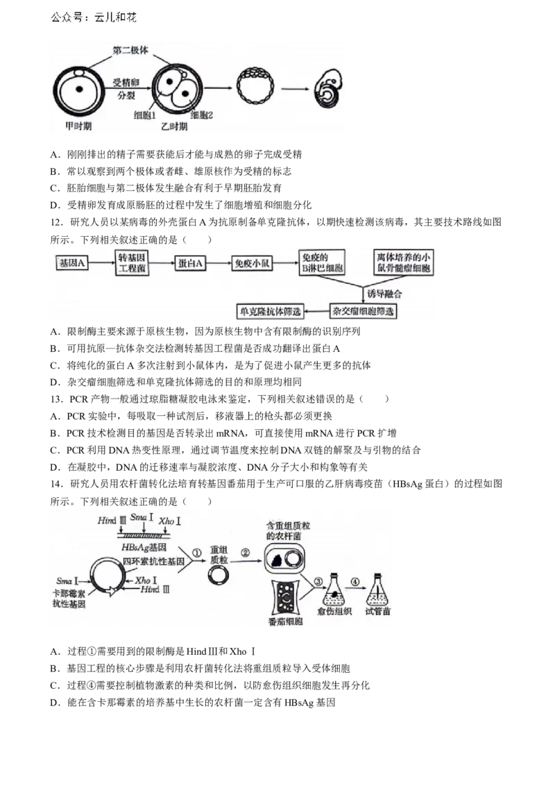 陕西省安康市2023-2024学年高二下学期6月期末生物试题(无答案)_2024-2025高二（7-7月题库）_2024年07月试卷_0703陕西省安康市2023-2024学年高二下学期6月期末质量联考