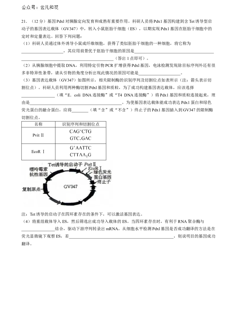 陕西省安康市2023-2024学年高二下学期6月期末生物试题(无答案)_2024-2025高二（7-7月题库）_2024年07月试卷_0703陕西省安康市2023-2024学年高二下学期6月期末质量联考