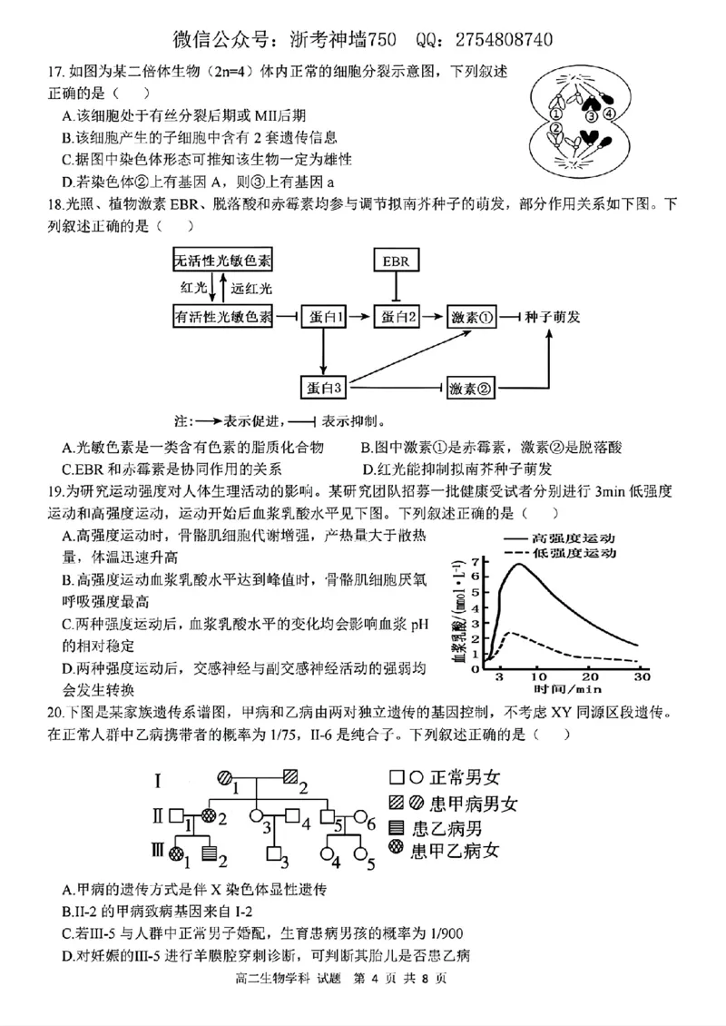 生物试题_2025年11月高二试卷_251125浙江衢州五校联盟2025年11月高二期中联考（全）