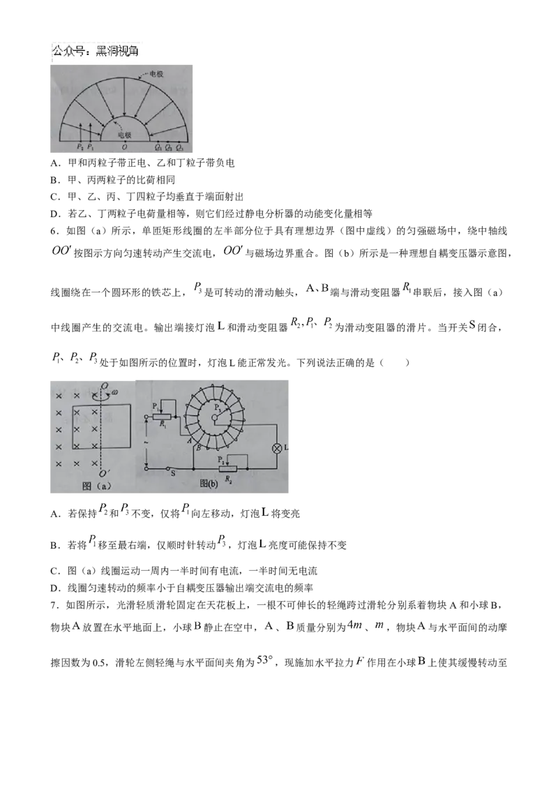 湖北省武汉市江岸区2024-2025学年高三上学期1月期末物理_2024-2025高三（6-6月题库）_2025年01月试卷_0114湖北省武汉市江岸区2024-2025学年高三上学期1月期末（全科）