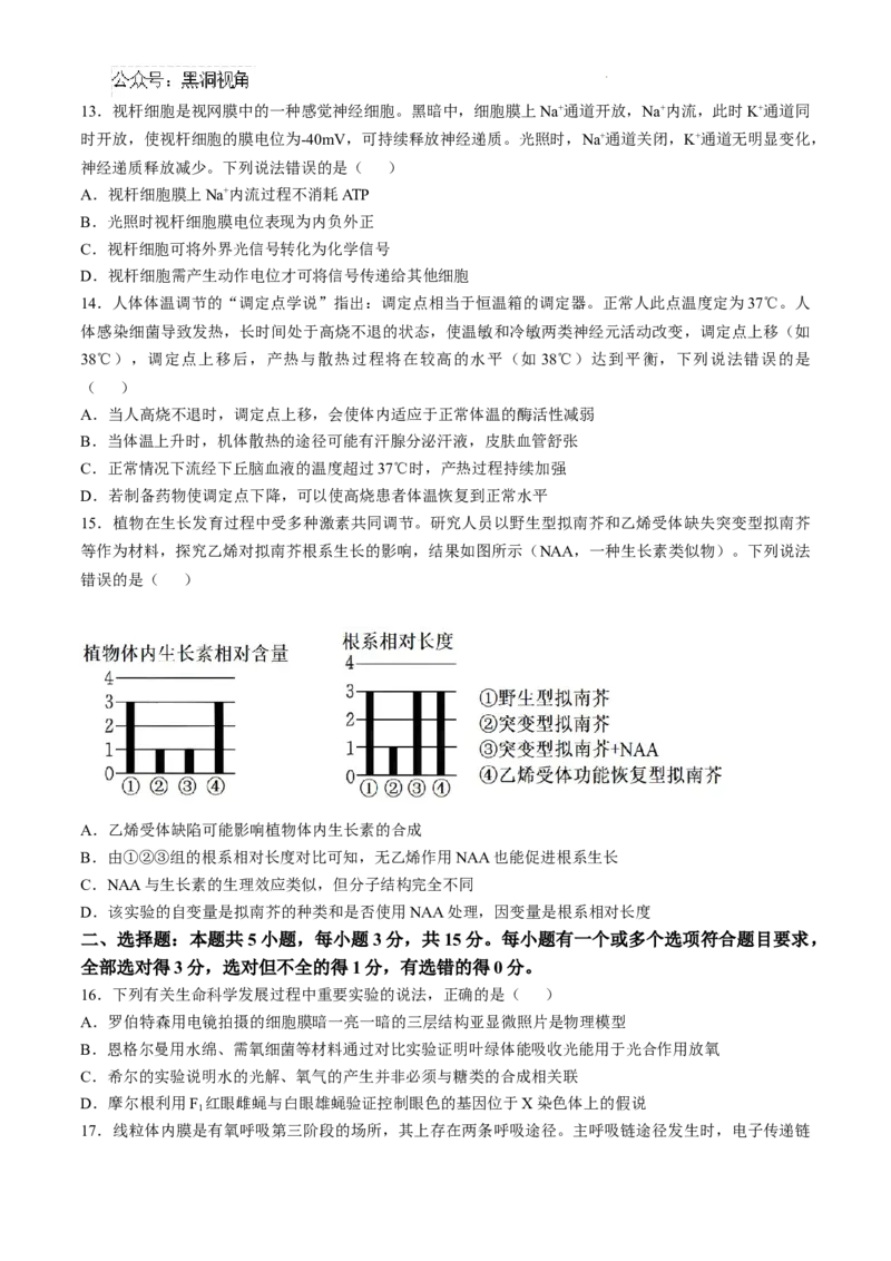 山东省威海市文登区2024-2025学年高三上学期第一次模拟考试试题生物+答案_2024-2026高三（6-6月题库）_2024年12月试卷_1210山东省威海市文登区2024-2025学年高三上学期第一次模拟考试试题