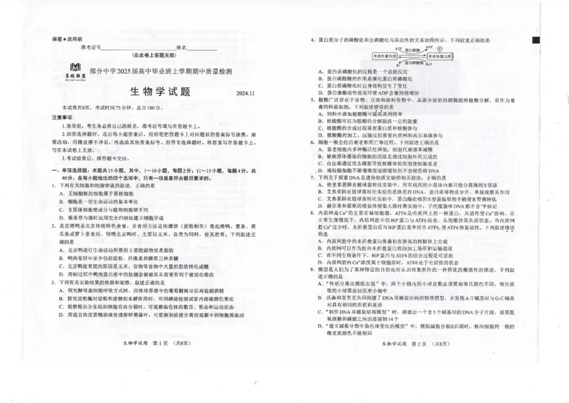 福建省名校联盟2024-2025学年高三上学期期中考试生物_2024-2025高三（6-6月题库）_2024年11月试卷_1119福建省名校联盟2024-2025学年高三上学期期中考试（全科）