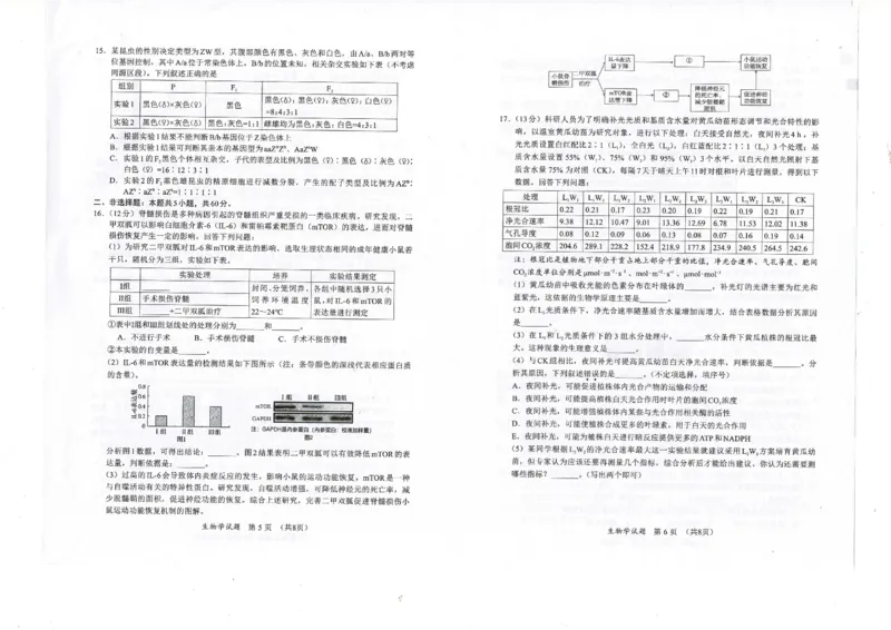 福建省名校联盟2024-2025学年高三上学期期中考试生物_2024-2025高三（6-6月题库）_2024年11月试卷_1119福建省名校联盟2024-2025学年高三上学期期中考试（全科）