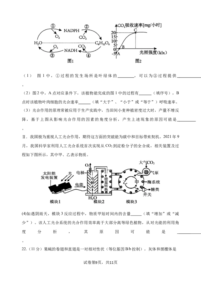 玉溪一中2025&mdash;2026学年上学期第一次月考_2025年10月高二试卷_251005云南省玉溪第一中学2025-2026学年高二上学期第一次月考试题（全）