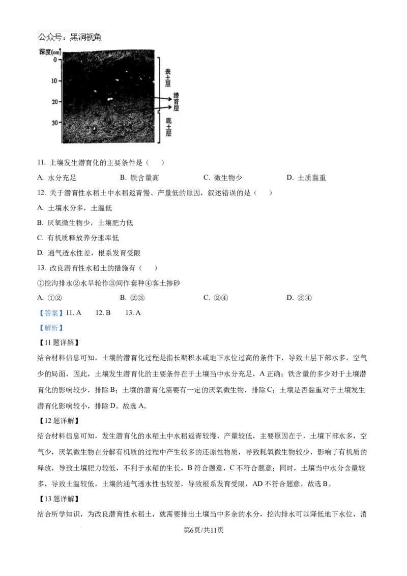 精品解析：云南省昆明市五华区云南师范大学附属中学2024-2025学年高三上学期8月月考地理试题（解析版）_2024-2025高三（6-6月题库）_2024年08月试卷