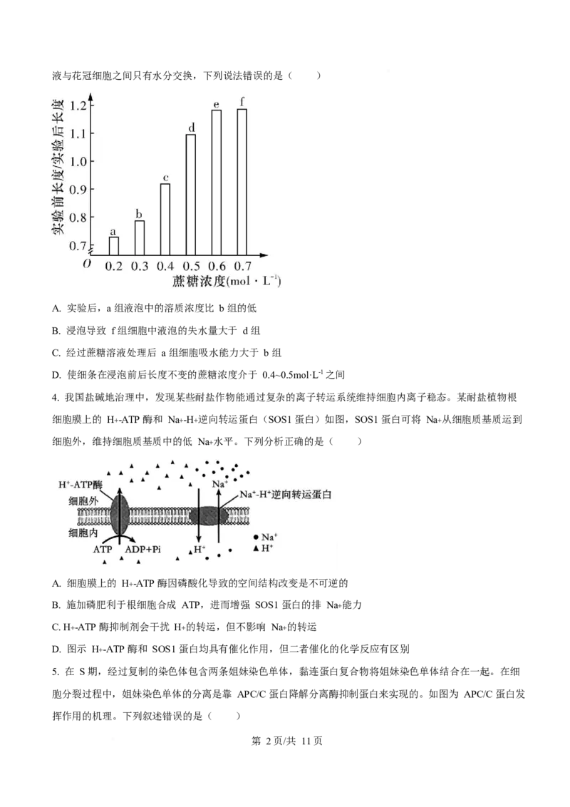 生物-四川省字节精准教育联盟2026届高中毕业班一诊(1)_2024-2026高三（6-6月题库）_2025年12月高三试卷_251218四川省字节精准教育联盟2026届高中毕业班一诊