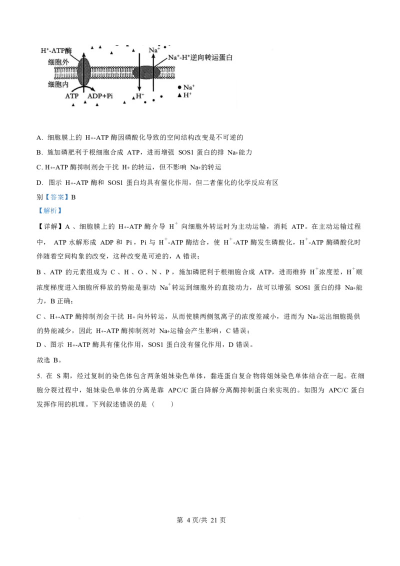 生物-四川省字节精准教育联盟2026届高中毕业班一诊(1)_2024-2026高三（6-6月题库）_2025年12月高三试卷_251218四川省字节精准教育联盟2026届高中毕业班一诊