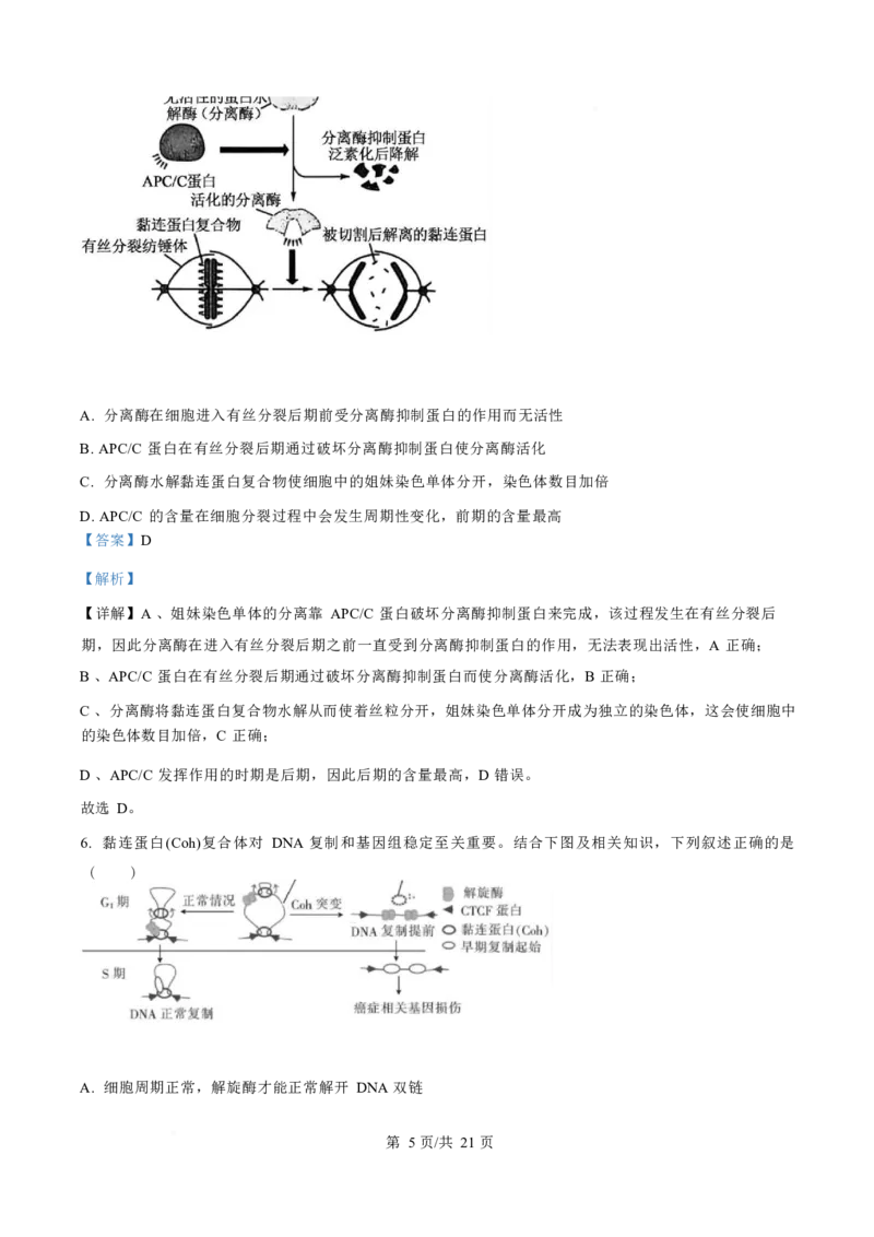 生物-四川省字节精准教育联盟2026届高中毕业班一诊(1)_2024-2026高三（6-6月题库）_2025年12月高三试卷_251218四川省字节精准教育联盟2026届高中毕业班一诊