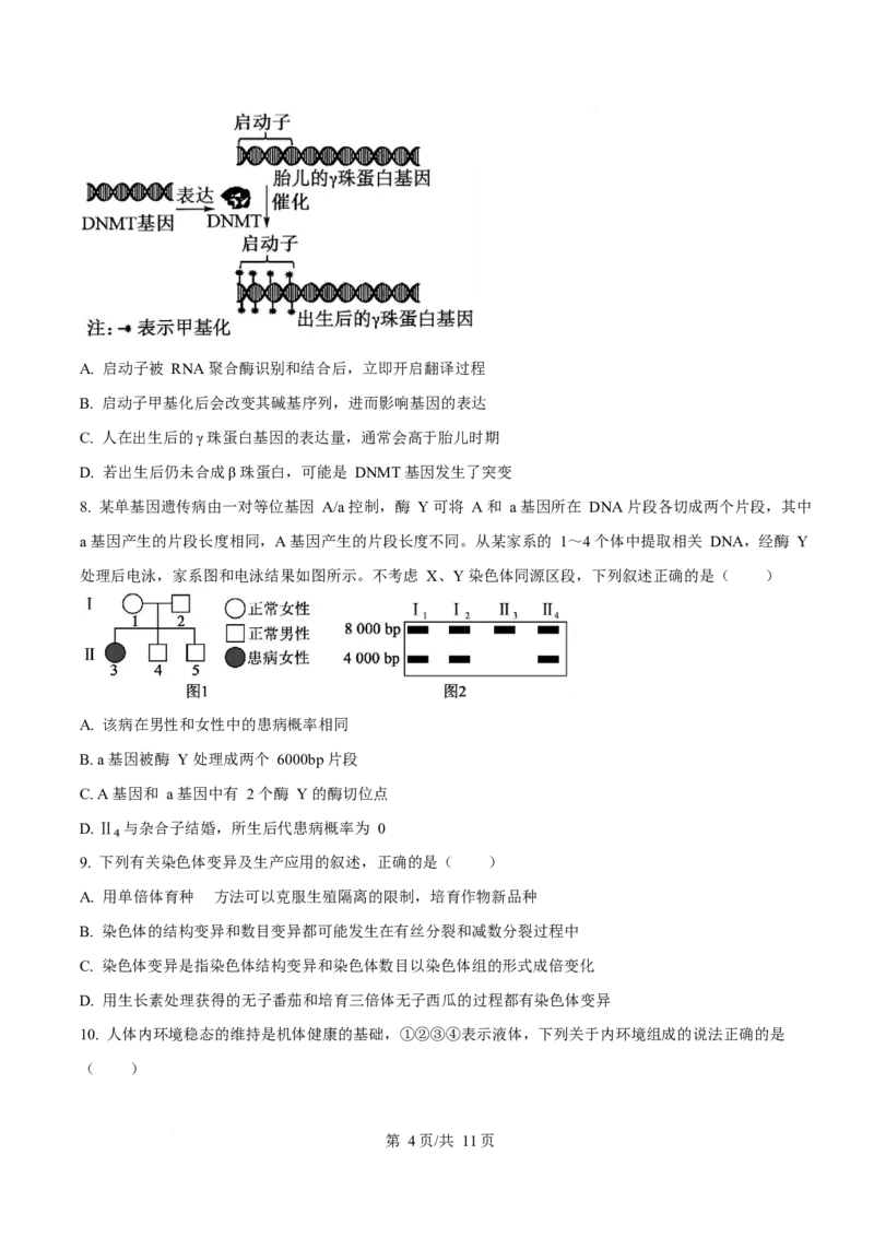生物-四川省字节精准教育联盟2026届高中毕业班一诊(1)_2024-2026高三（6-6月题库）_2025年12月高三试卷_251218四川省字节精准教育联盟2026届高中毕业班一诊
