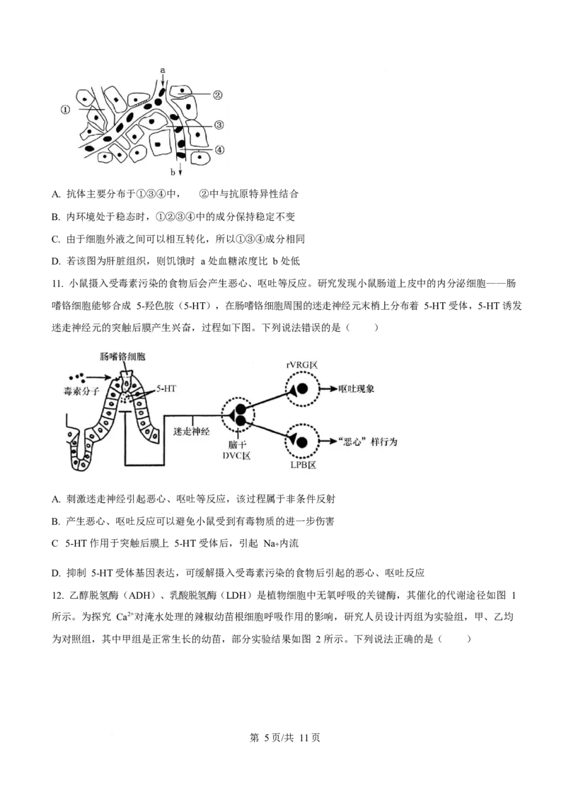 生物-四川省字节精准教育联盟2026届高中毕业班一诊(1)_2024-2026高三（6-6月题库）_2025年12月高三试卷_251218四川省字节精准教育联盟2026届高中毕业班一诊