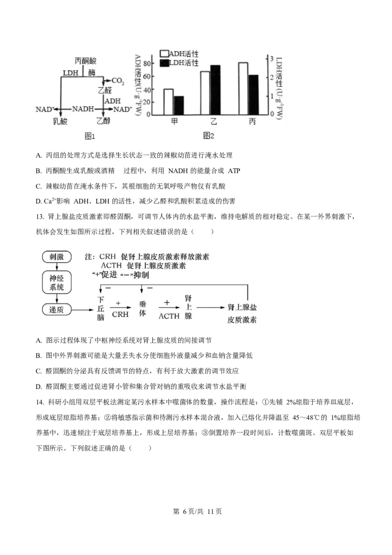 生物-四川省字节精准教育联盟2026届高中毕业班一诊(1)_2024-2026高三（6-6月题库）_2025年12月高三试卷_251218四川省字节精准教育联盟2026届高中毕业班一诊