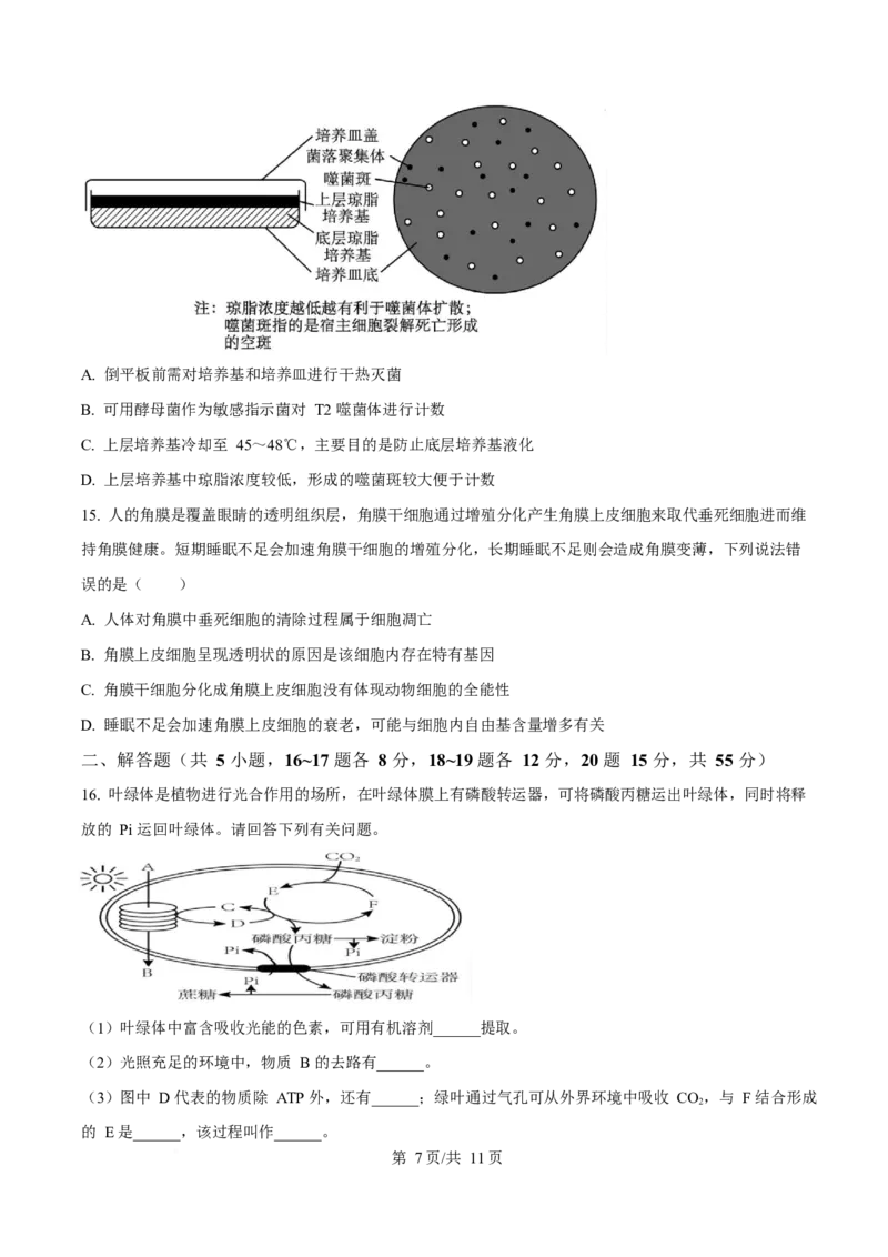 生物-四川省字节精准教育联盟2026届高中毕业班一诊(1)_2024-2026高三（6-6月题库）_2025年12月高三试卷_251218四川省字节精准教育联盟2026届高中毕业班一诊