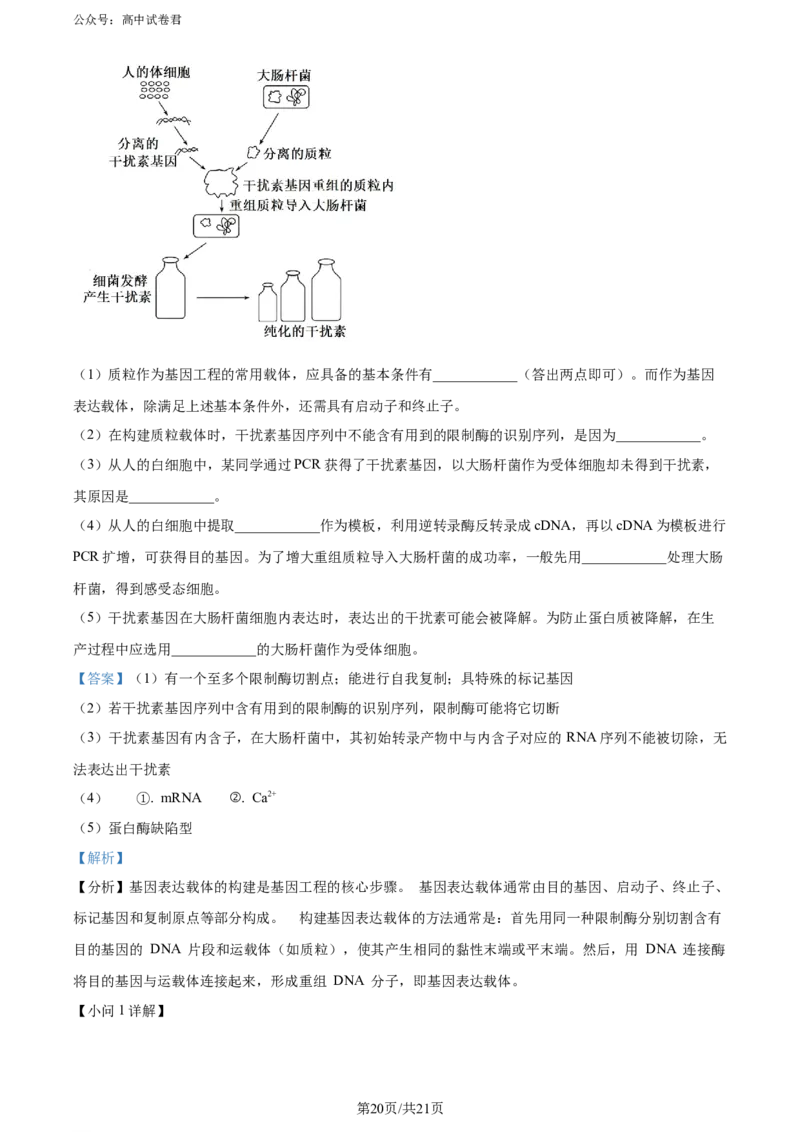 精品解析：湖北省2023-2024学年高二下学期7月期末考试生物试题（解析版）_2024-2025高三（6-6月题库）_2024年07月试卷_湖北省2023-2024学年高二下学期7月期末考试生物试题