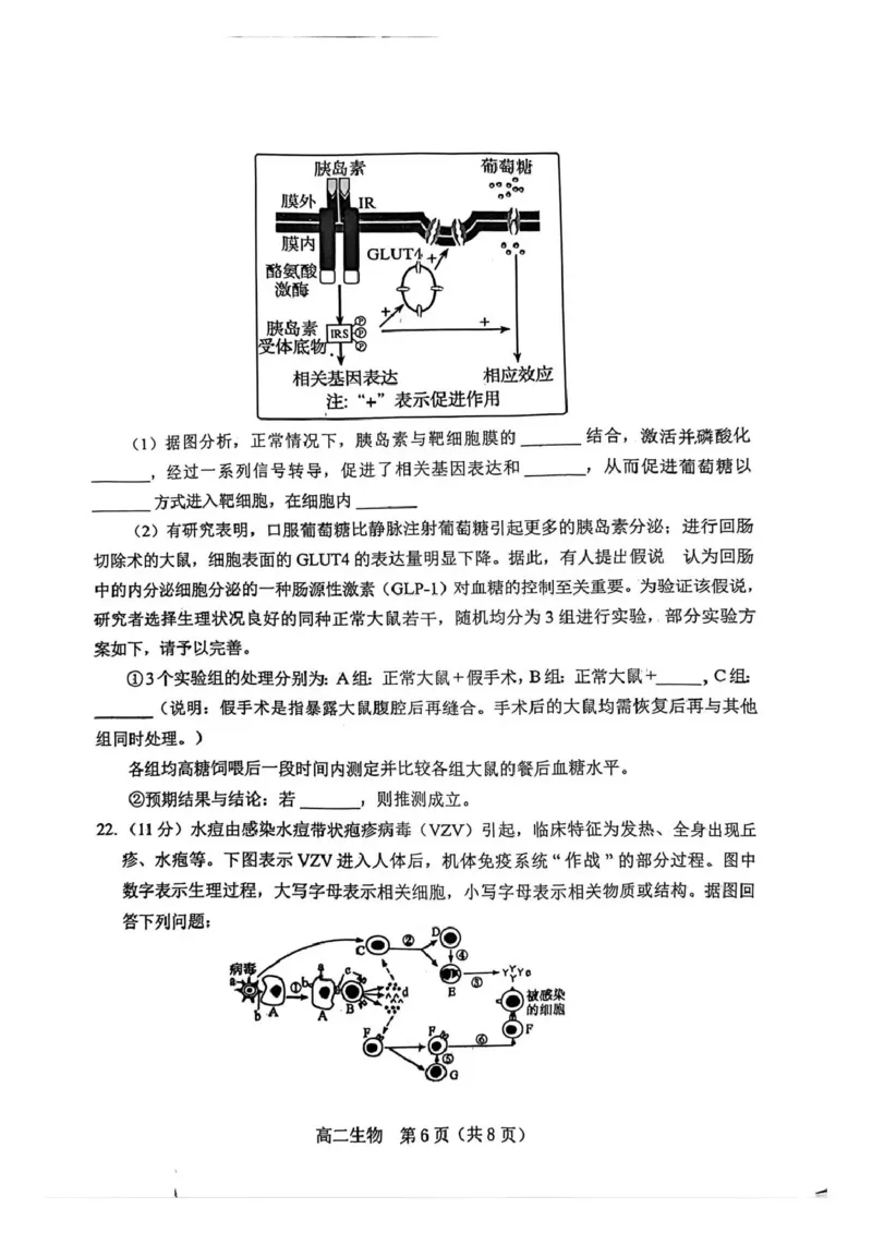 葫芦岛市普通高中2025-2026学年上学期期末考试高二生物试卷_2024-2025高二（7-7月题库）_2026年1月高二_260125辽宁省葫芦岛市2025-2026学年高二上学期1月期末（全）