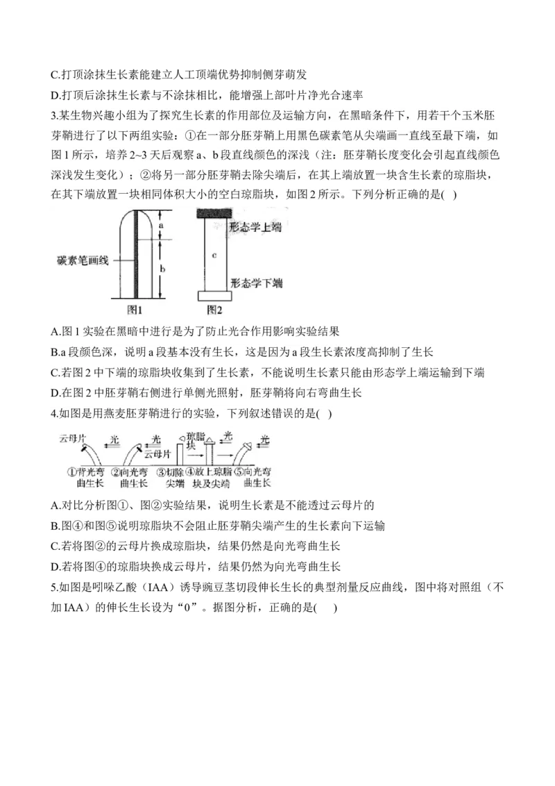 （19）植物的激素调节&mdash;&mdash;高考生物二轮复习易错重难提升学案（含解析）_2024-2025高三（6-6月题库）_2026年1月高三_260104高考生物二轮复习易错重难提升（含解析）