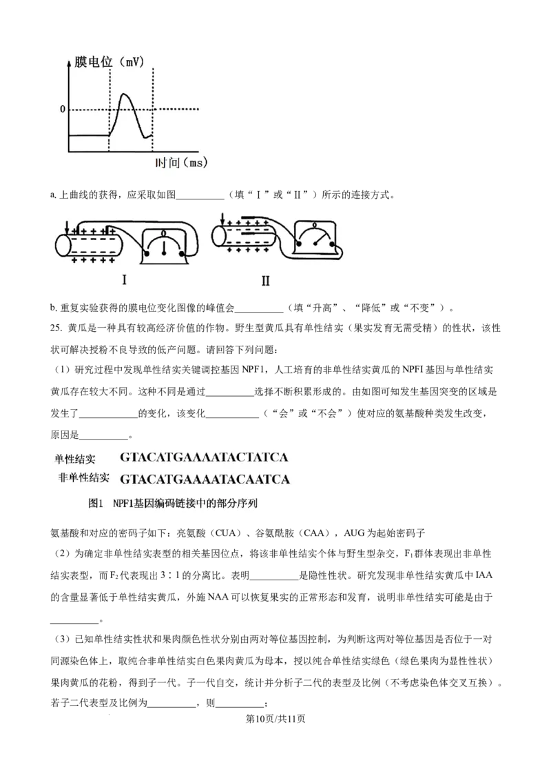 精品解析：浙江省ZDB联盟2025-2026学年高二上学期11月期中生物试题（原卷版）_2025年11月高二试卷