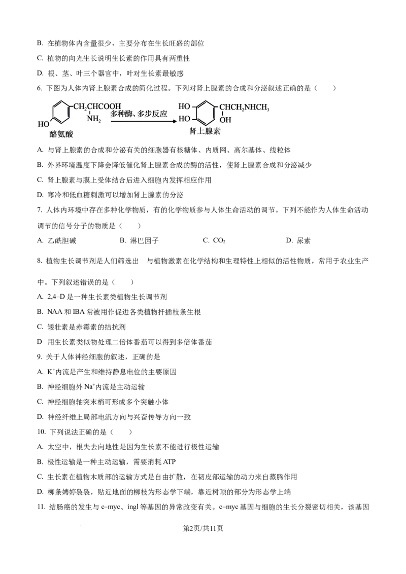 精品解析：浙江省ZDB联盟2025-2026学年高二上学期11月期中生物试题（原卷版）_2025年11月高二试卷