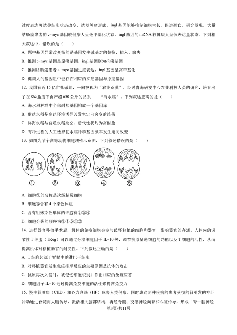 精品解析：浙江省ZDB联盟2025-2026学年高二上学期11月期中生物试题（原卷版）_2025年11月高二试卷