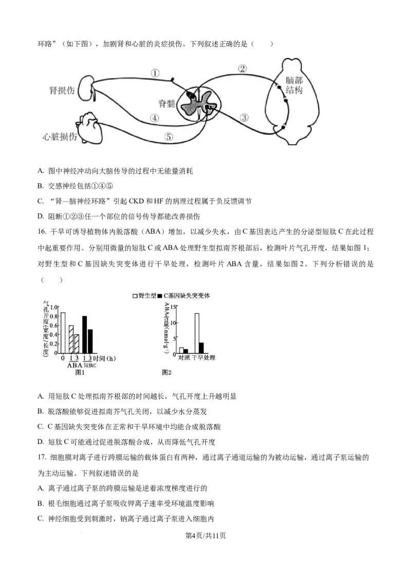 精品解析：浙江省ZDB联盟2025-2026学年高二上学期11月期中生物试题（原卷版）_2025年11月高二试卷