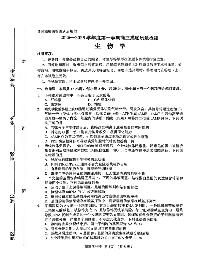 淄博市2025一2026学年度第一学期高三摸底质量检测生物+答案_2024-2026高三（6-6月题库）_2026年01月高三试卷_0123山东省淄博市2025一2026学年度第一学期高三摸底质量检测（全）