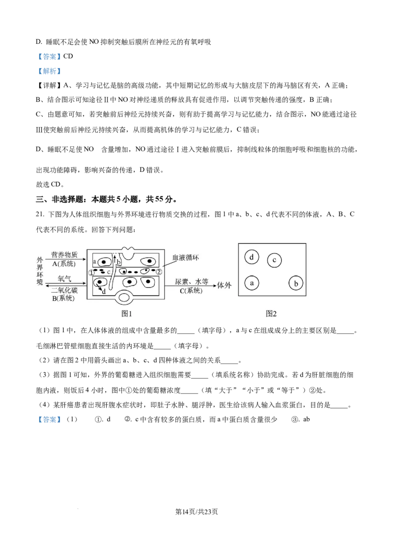 精品解析：辽宁省辽西重点高中2025-2026学年高二上学期10月联考生物试题（解析版）_2025年10月高二试卷_251028辽西重点高中2025-2026学年高二上学期10月月考（全）