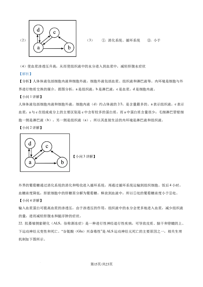 精品解析：辽宁省辽西重点高中2025-2026学年高二上学期10月联考生物试题（解析版）_2025年10月高二试卷_251028辽西重点高中2025-2026学年高二上学期10月月考（全）