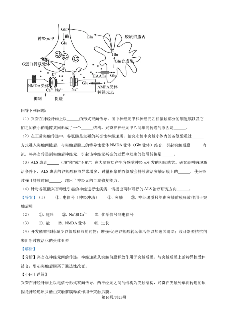 精品解析：辽宁省辽西重点高中2025-2026学年高二上学期10月联考生物试题（解析版）_2025年10月高二试卷_251028辽西重点高中2025-2026学年高二上学期10月月考（全）