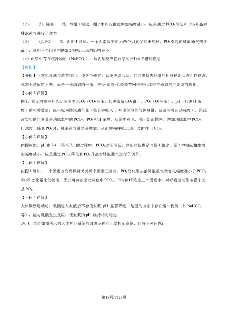 精品解析：辽宁省辽西重点高中2025-2026学年高二上学期10月联考生物试题（解析版）_2025年10月高二试卷_251028辽西重点高中2025-2026学年高二上学期10月月考（全）