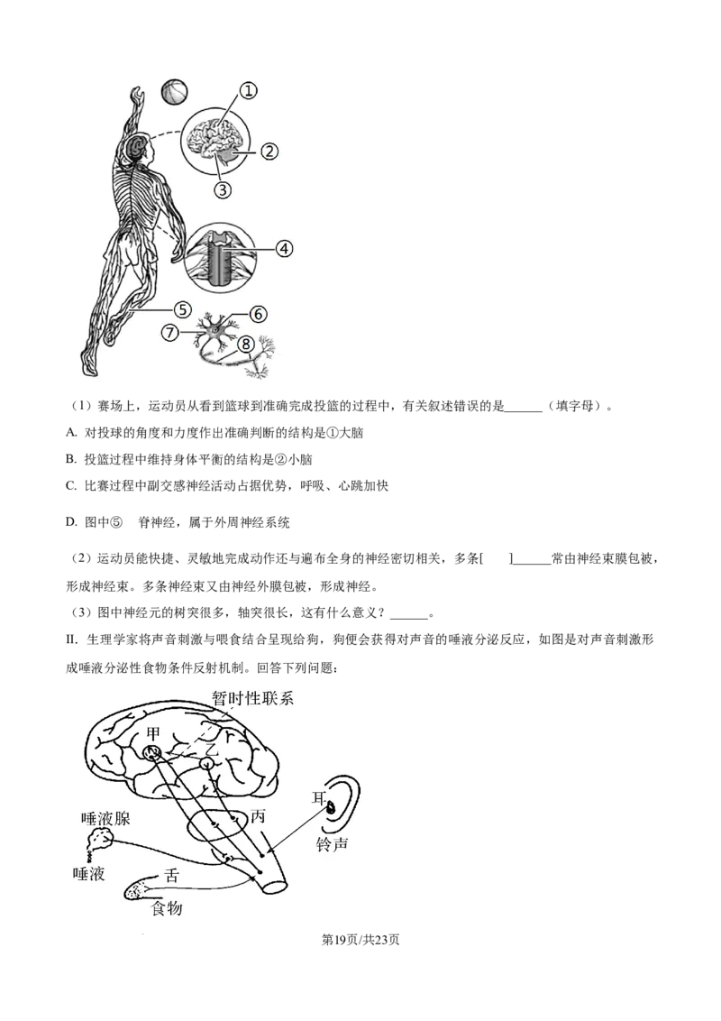 精品解析：辽宁省辽西重点高中2025-2026学年高二上学期10月联考生物试题（解析版）_2025年10月高二试卷_251028辽西重点高中2025-2026学年高二上学期10月月考（全）