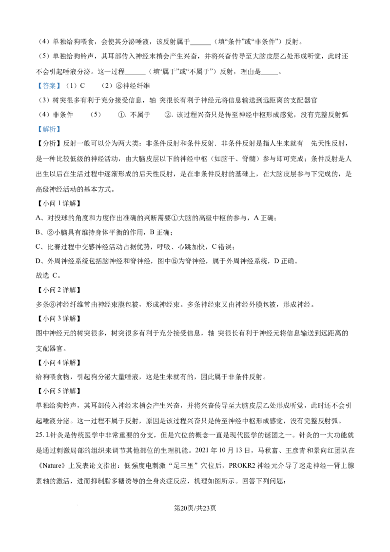 精品解析：辽宁省辽西重点高中2025-2026学年高二上学期10月联考生物试题（解析版）_2025年10月高二试卷_251028辽西重点高中2025-2026学年高二上学期10月月考（全）