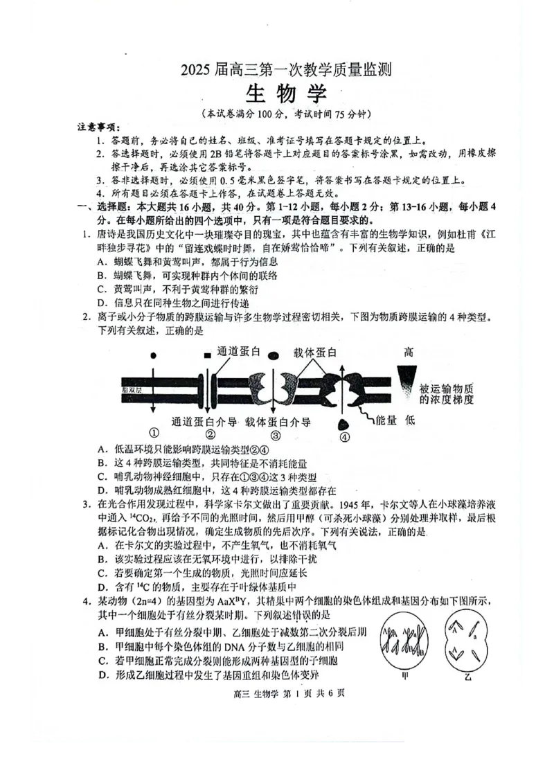 玉林2025届高三一模生物试卷_2024-2025高三（6-6月题库）_2024年10月试卷_1020广西玉林市2025届高三上学期第一次教学质量监测