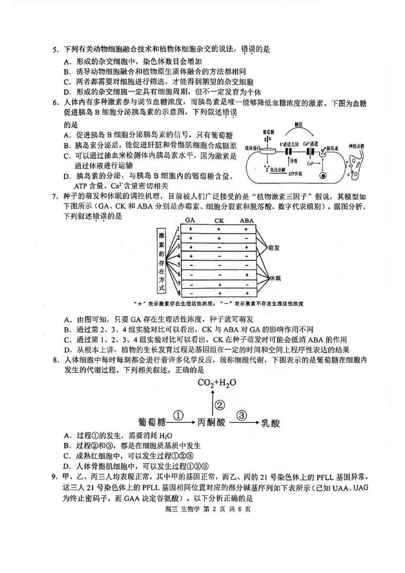 玉林2025届高三一模生物试卷_2024-2025高三（6-6月题库）_2024年10月试卷_1020广西玉林市2025届高三上学期第一次教学质量监测