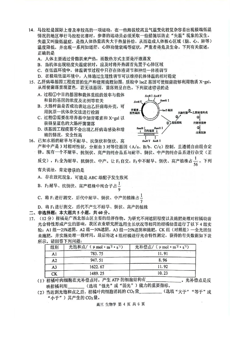 玉林2025届高三一模生物试卷_2024-2025高三（6-6月题库）_2024年10月试卷_1020广西玉林市2025届高三上学期第一次教学质量监测