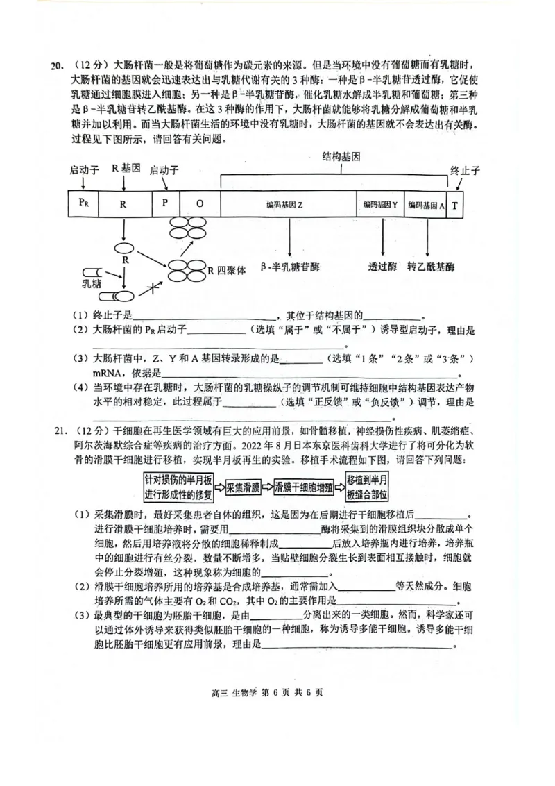 玉林2025届高三一模生物试卷_2024-2025高三（6-6月题库）_2024年10月试卷_1020广西玉林市2025届高三上学期第一次教学质量监测