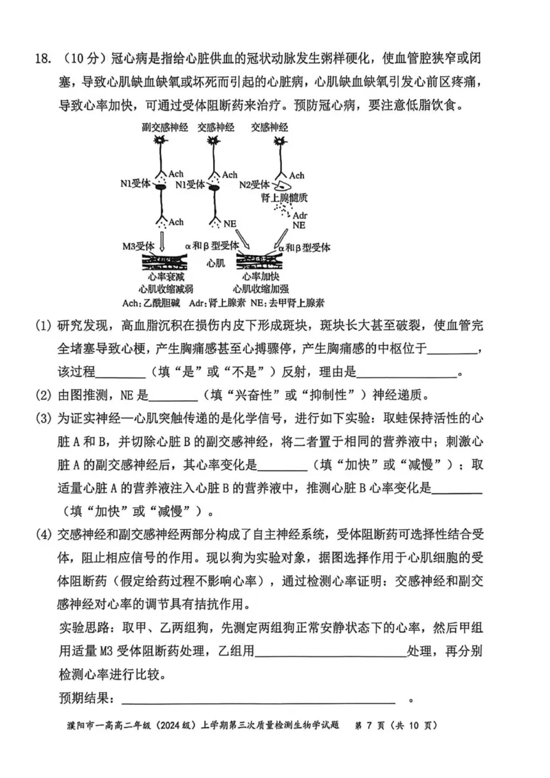 高二生物3_2024-2025高二（7-7月题库）_2026年1月高二_260113河南省濮阳市第一高级中学2025-2026学年高二上学期1月月考