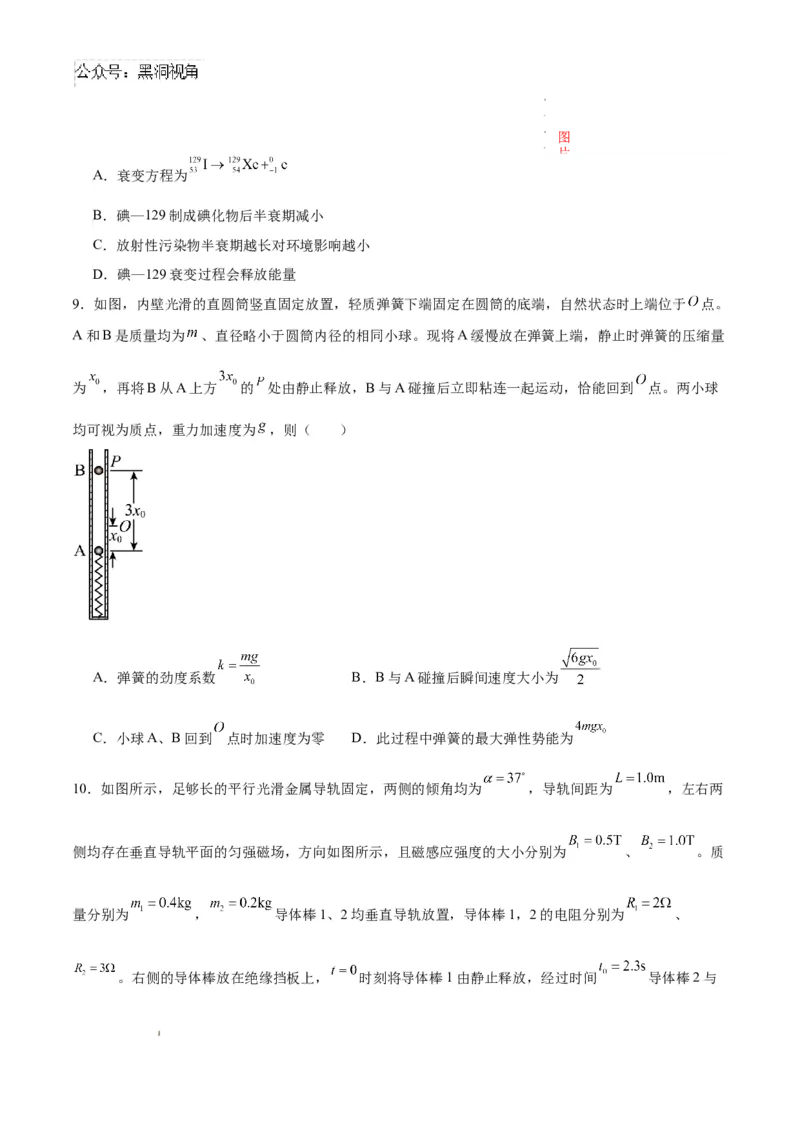 物理考前猜想卷01（考试版A4）_2024-2025高三（6-6月题库）_2024年12月试卷_12072025届&ldquo;八省联考&rdquo;考前猜想卷_物理01-2025年1月&ldquo;八省联考&rdquo;考前猜想卷