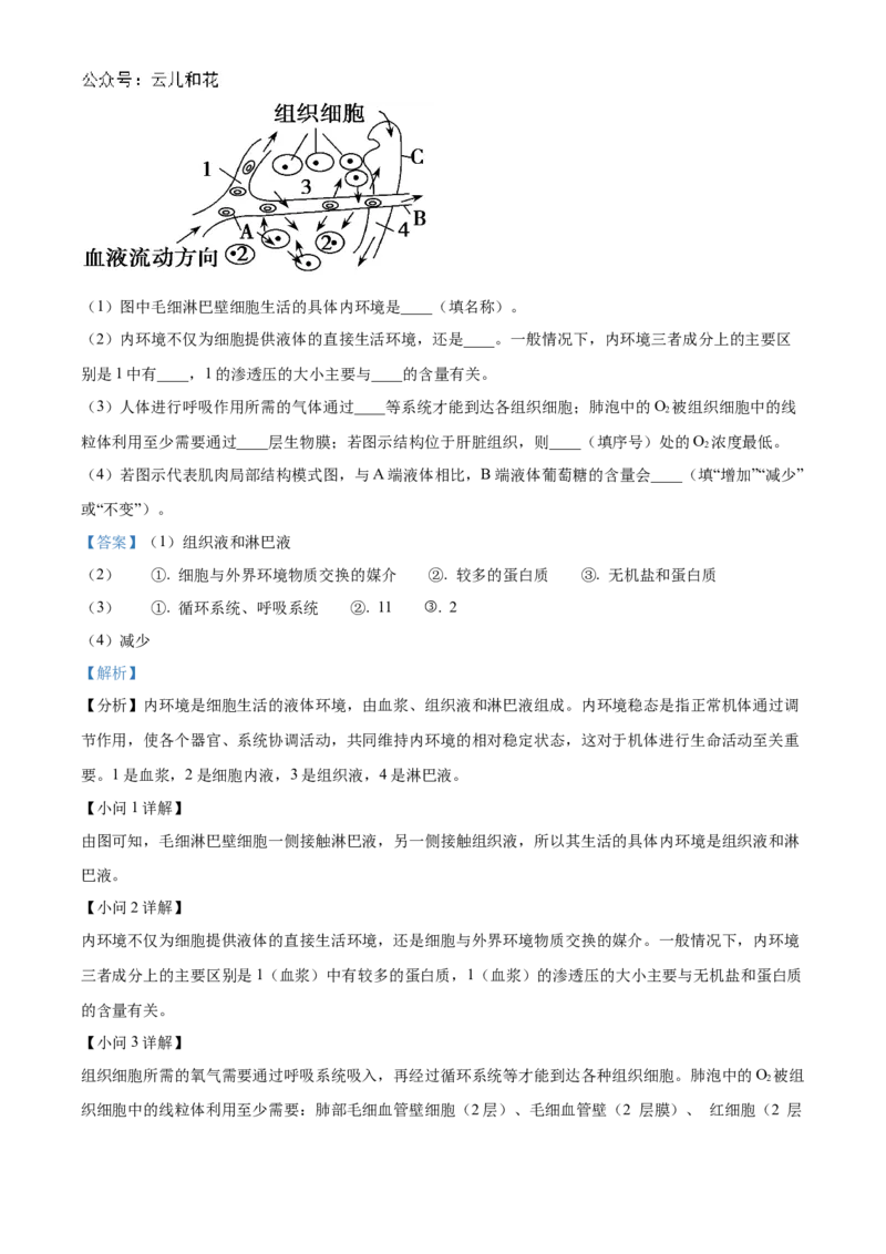 重庆市铜梁一中2024-2025学年高二上学期10月月考生物试题Word版含解析_2024-2025高二（7-7月题库）_2024年11月试卷_1104重庆市铜梁一中2024-2025学年高二上学期10月月考