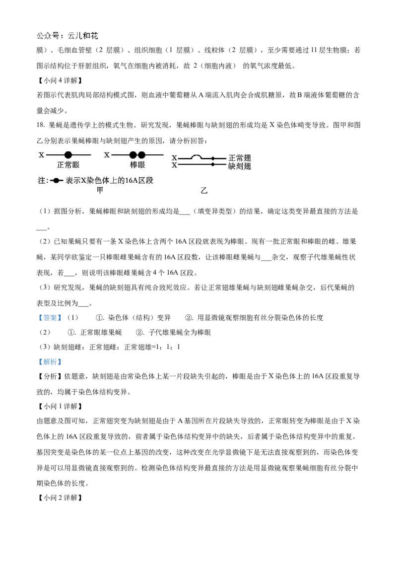 重庆市铜梁一中2024-2025学年高二上学期10月月考生物试题Word版含解析_2024-2025高二（7-7月题库）_2024年11月试卷_1104重庆市铜梁一中2024-2025学年高二上学期10月月考