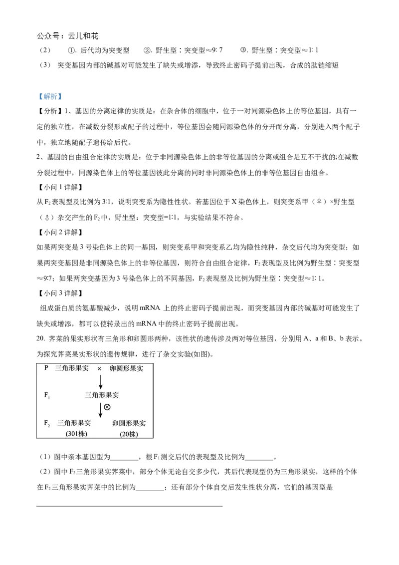 重庆市铜梁一中2024-2025学年高二上学期10月月考生物试题Word版含解析_2024-2025高二（7-7月题库）_2024年11月试卷_1104重庆市铜梁一中2024-2025学年高二上学期10月月考