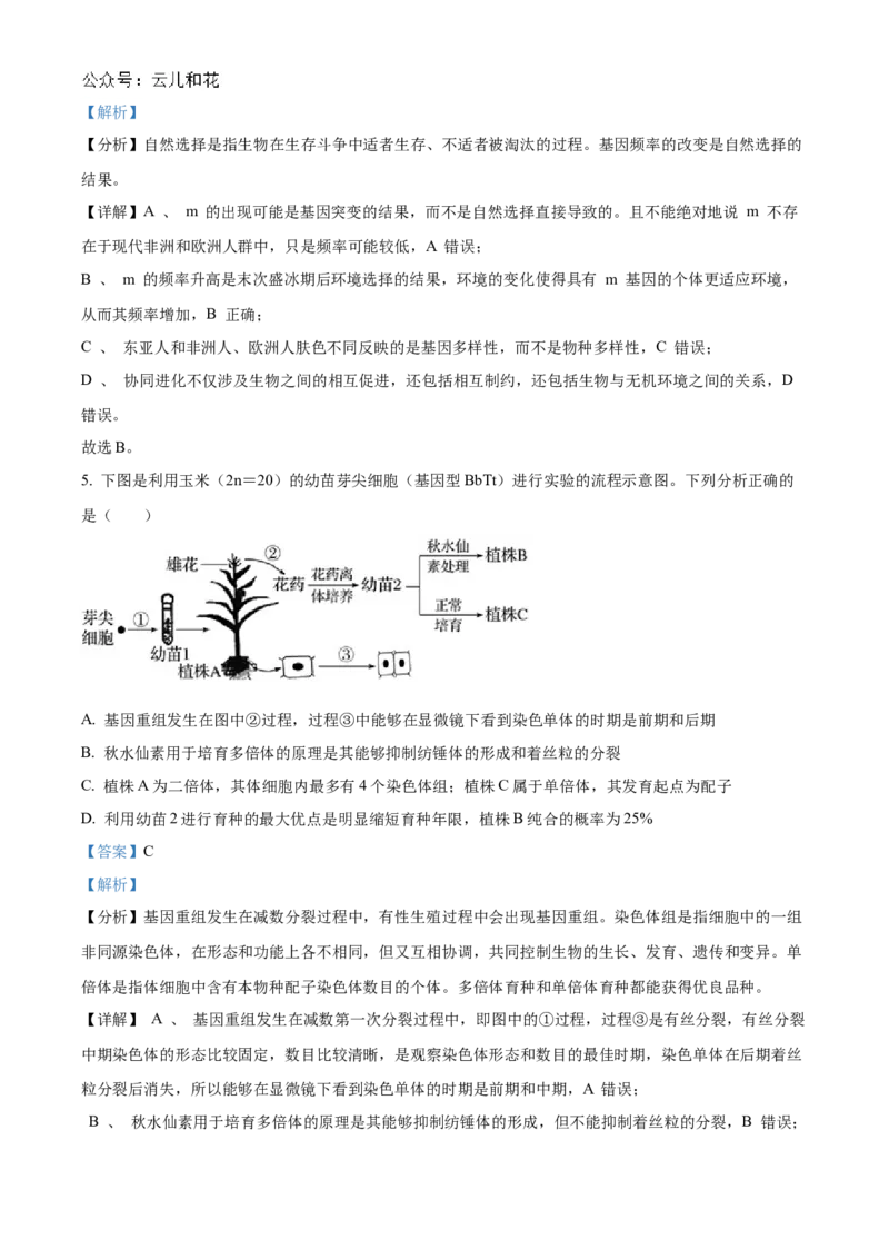 重庆市铜梁一中2024-2025学年高二上学期10月月考生物试题Word版含解析_2024-2025高二（7-7月题库）_2024年11月试卷_1104重庆市铜梁一中2024-2025学年高二上学期10月月考